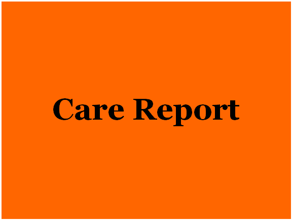 Care Report